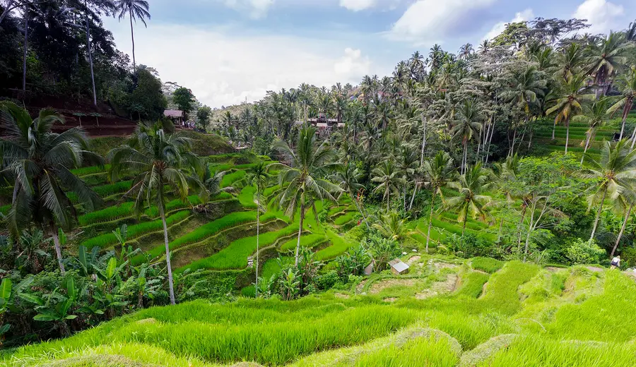 Bali — photo 2