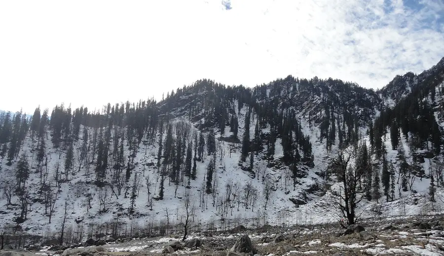 Himachal — photo 2