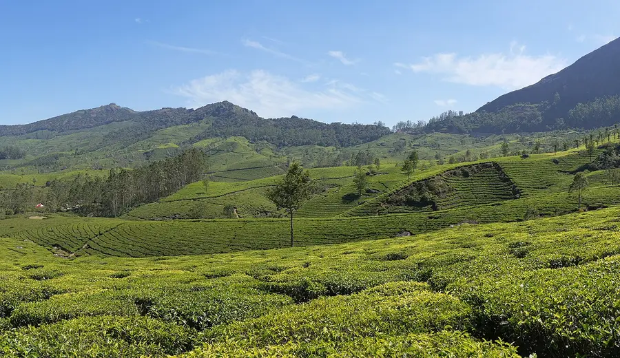 Kerala — photo 3