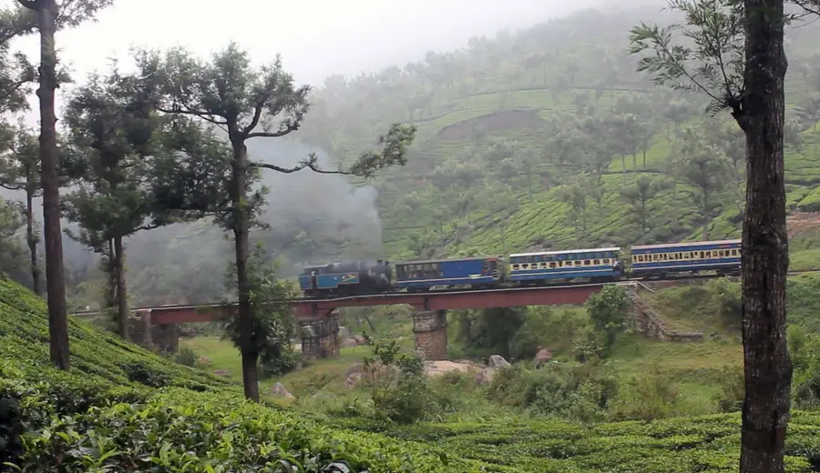 Ooty & Kodaikanal — photo 2